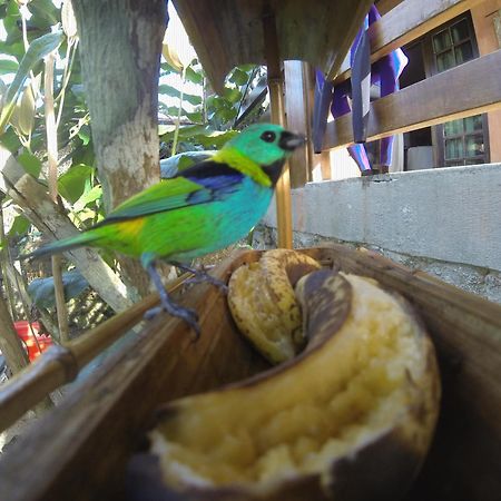 Chale Do Felix Villa Ubatuba Luaran gambar