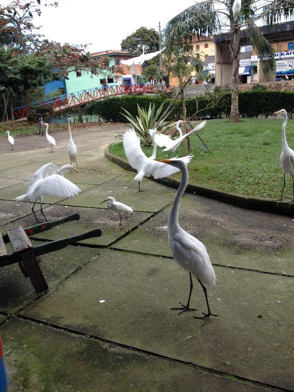 Chale Do Felix Villa Ubatuba Luaran gambar